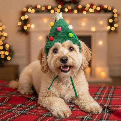 Holiday pet hat and scarf set 5