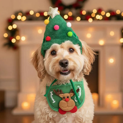 Holiday pet hat and scarf set 3