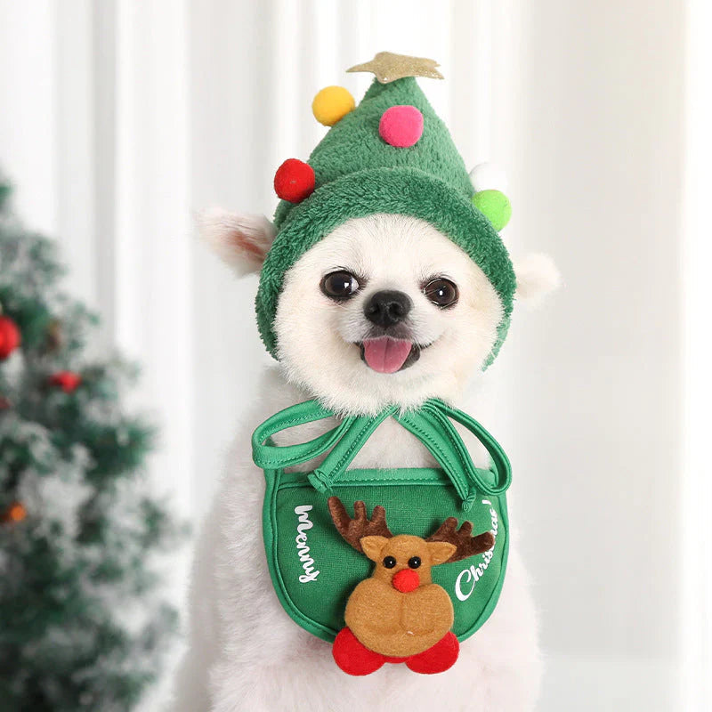 Holiday pet hat and scarf set 4